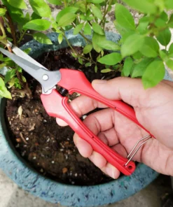 TrendLine Garten- Und Haushaltsschere