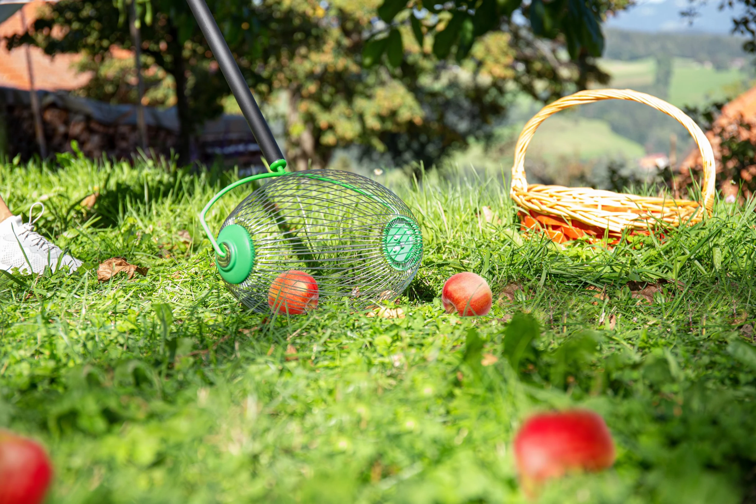 Freund Victoria Nuss- Und Obstsammler 30 Cm Arbeitsbreite 4 Freund Victoria Nuss- Und Obstsammler 30 Cm Arbeitsbreite – Bild 2