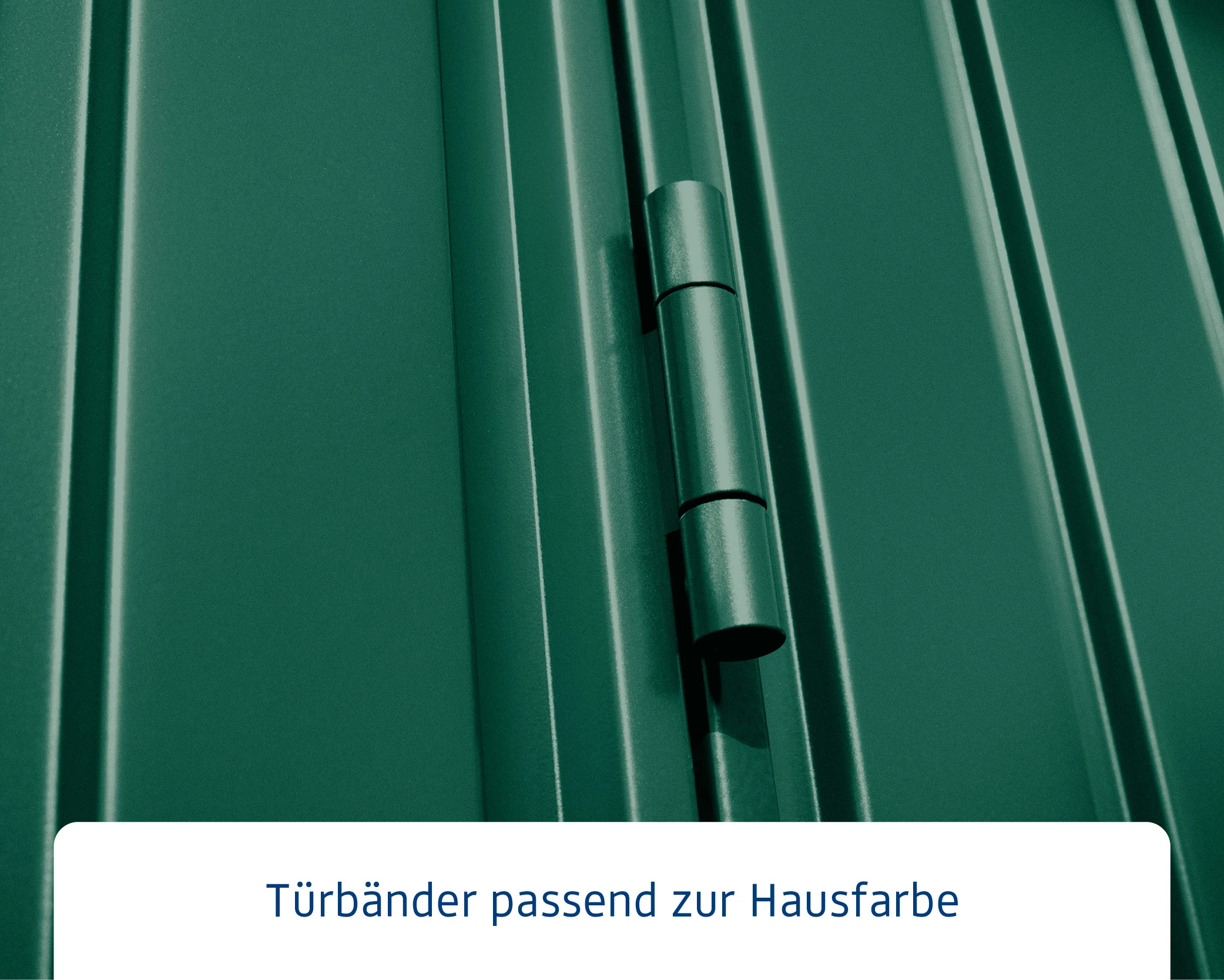 EcoStar Gerätehaus Trend-P Typ 3 Moosgrün 312,7 X 283,4 X 232,3 Cm 7 EcoStar Gerätehaus Trend-P Typ 3 Moosgrün 312,7 X 283,4 X 232,3 Cm – Bild 5