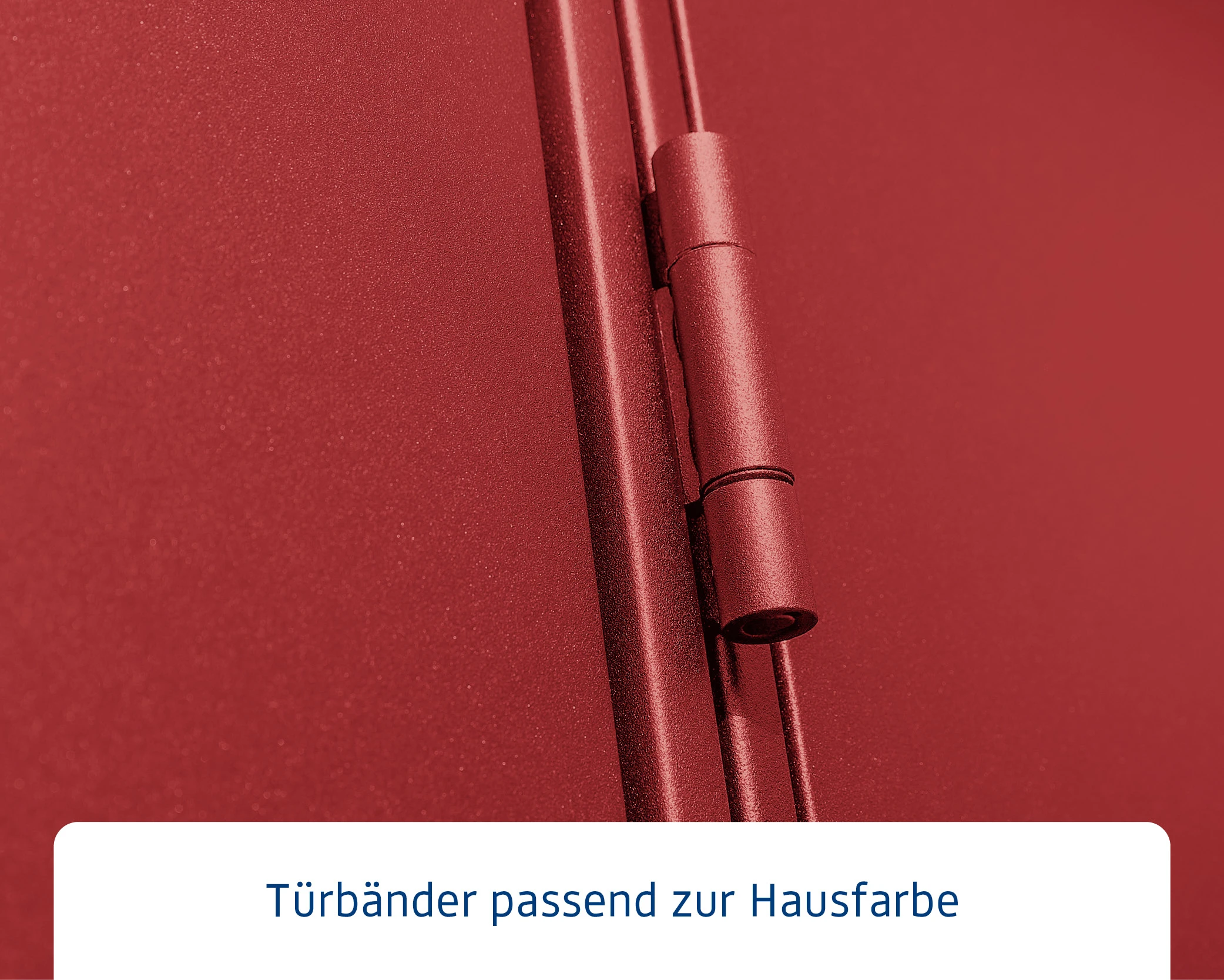 EcoStar Gerätehaus Elegant-P Typ 2 Purpurrot 247,9 X 283,4 X 232,3 Cm 8 EcoStar Gerätehaus Elegant-P Typ 2 Purpurrot 247,9 X 283,4 X 232,3 Cm – Bild 6