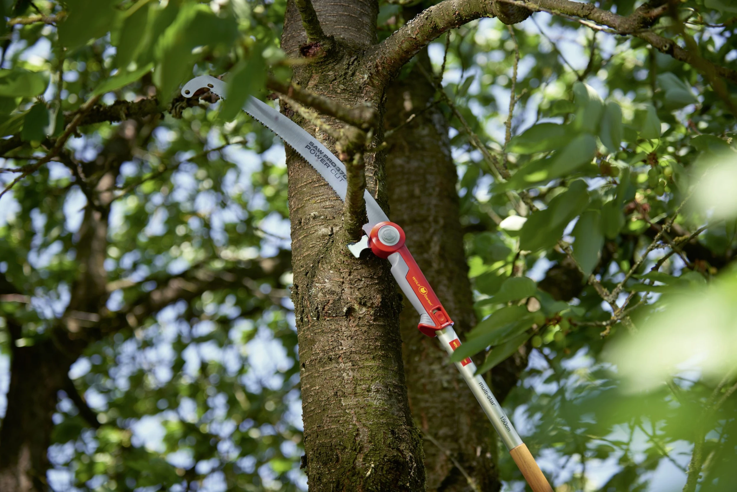 Wolf-Garten Wolf Garten Astsäge POWER CUT SAW PRO 370 37 Cm Sägeblatt 2 Wolf-Garten Wolf Garten Astsäge POWER CUT SAW PRO 370 37 Cm Sägeblatt