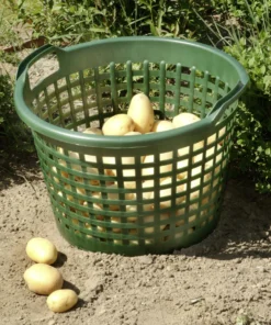 Floraworld Gartenkorb 31 L