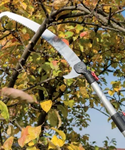 TrendLine Astsägen-Aufsatz Mit Sicherheitsaufnahme