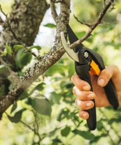 Fiskars Gartenschere Bypass Single Step P26 Bis Zu Ø 22 Mm Aststärke